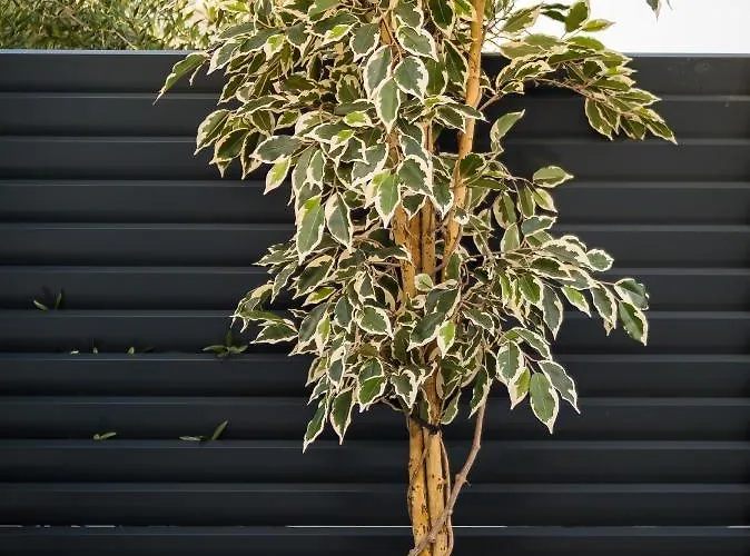 Luxury Apartment- Balcony- Private Rooftop And Jacuzzi- Common Pool Appartement *